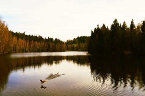 Na kole Ašskou vrchovinou Na kole Ašskou vrchovinou