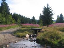 Svazek obcí Bystřice Svazek obcí Bystřice