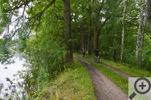 Stoleté duby a mohutné hráze, nedílná součást jihočeských rybníků