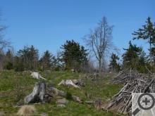 Krajina v okolí zříceniny hradu Herštejn