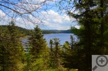 Flájská přehrada, připomíná opravdovou divočinu