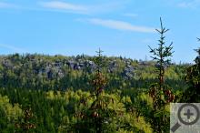 Polické stěny jsou utopeny hodně v lesích