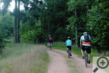 Cesta z Nepomuka k Padrťským rybníkům je dnes již skvěle značená i upravená