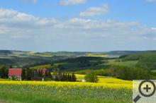 Buď Andrej Babiš působí i v Sasku, anebo je pěstování řepky celoevropská záležitost