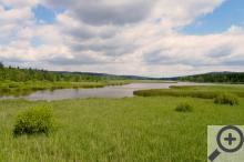 Dolejší Padrťský rybník