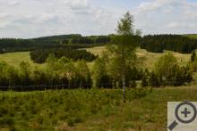 Krajina na české straně Krušných hor není zemědělstvím ještě tolik poznamenaná