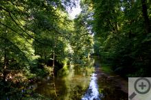 Několik tváří řeky Úpy