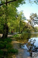 Kamenný rybník – druhý největší rybník Foto: Pavel Kozubek