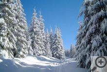 Jako za starých časů ... zapojit nohy a stopu pěkně vyšlápnout.